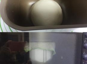 把面团收圆，放回面包桶里，盖上保鲜膜或者湿布放入烤箱调成发酵功能进行发酵