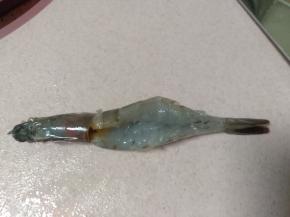 开背大一些，这样油煎出来的虾好看更饱满