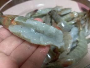 全部虾处理完，虾开背到如图所示