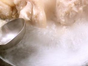 猪耳煮沸后撇去浮末，冲洗干净