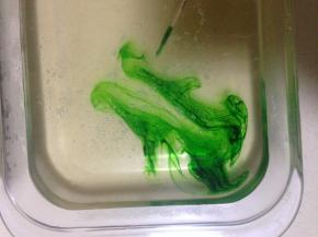 5、用牙签蘸少量色素  随意画几下