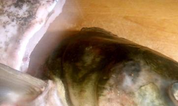 切下鱼头，剁成块