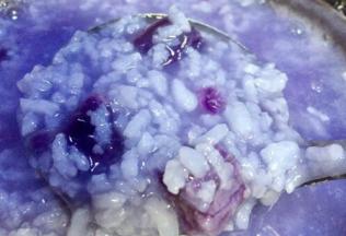 15分钟后已经米饭开始粘稠了，紫薯也煮的有些耙了