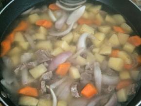 加入适量水没过牛肉，盖上盖子焖煮到牛肉软烂