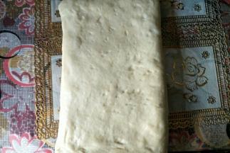 另一端也盖过去，一共是三折，放入冰箱冷冻25分钟