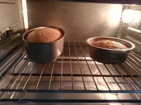 倒入模具（面糊倒的时候也要注意从高20厘米的样子倒入模具）放入预热烤箱，160度45分钟（烤之前要震模）