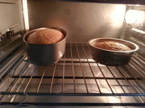 倒入模具（面糊倒的时候也要注意从高20厘米的样子倒入模具）放入预热烤箱，160度45分钟（烤之前要震模）