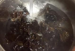 用热水冲洗干净浸泡备用