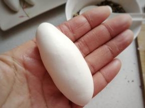 再搓圆搓光滑，整形成橄榄形状；