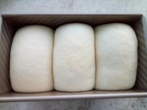 面团发至9分满模，烤箱180度预热至少10分钟，放入下层烤35分钟。（中途加盖锡纸防止上色过重）