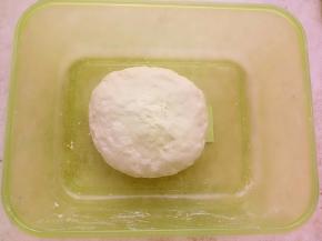 中种材料混合揉至无干粉，放保鲜盒密封放冰箱冷藏17-20小时。