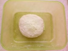 中种材料混合揉至无干粉，放保鲜盒密封放冰箱冷藏17-20小时。