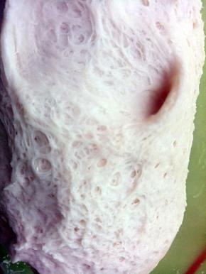 如图出蜂窝就可以用了。