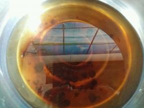 锅里加凉水，放入红糖，中火熬糖浆。水大概500ml。熬至最后剩200-300ml即可。