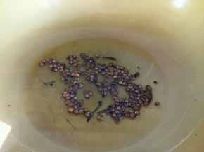 炒至麻椒变色后，用漏勺把麻椒捞出来丢掉即可，油留下。