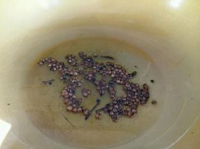 炒至麻椒变色后，用漏勺把麻椒捞出来丢掉即可，油留下。