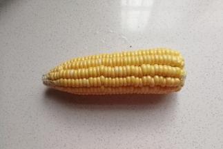 新鲜玉米一个；