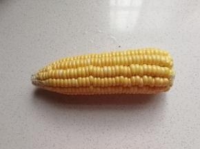 新鲜玉米一个；