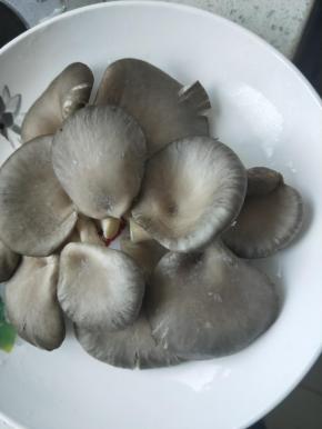 蘑菇适量