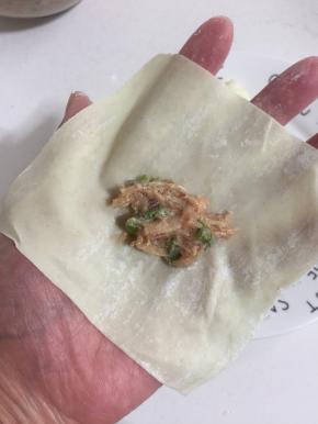 取一张馄饨皮平放于掌心，用筷子夹取适量的肉馅放在馄饨皮的中央。
