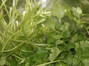 香菜泡洗干净沥干水