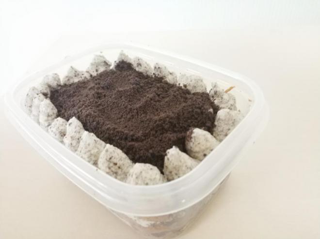 奥利奥咸奶油盒子蛋糕