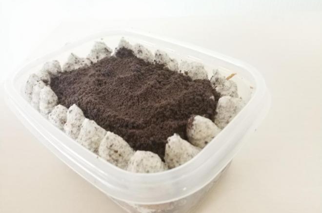 奥利奥咸奶油盒子蛋糕