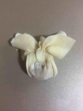 包好的馄饨很漂亮吧？是不是像一朵花啊？