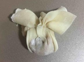 包好的馄饨很漂亮吧？是不是像一朵花啊？