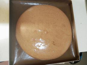 将翻拌好的蛋糕糊倒入烤盘中