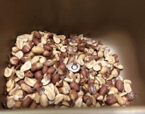 炒干果功能会一边炒一边把花生炒脱的