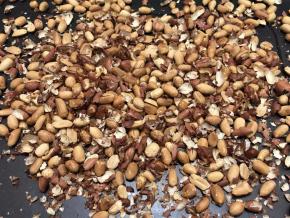 烘烤好的花生去皮备用