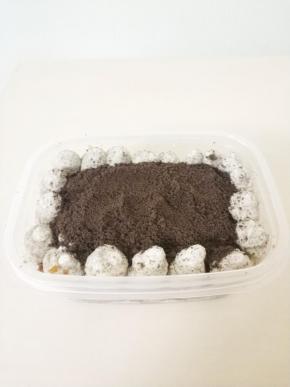 然后撒上奥利奥碎。一个盒子蛋糕就做好了