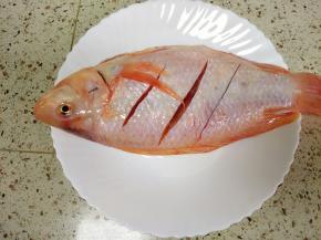 彩云雕、草鱼都适合做糖醋鱼，把鱼处理干净，表面各划三刀，加入料酒、盐抹均匀，腌制10分钟