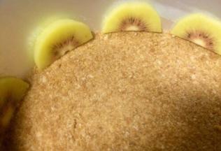 切好的猕猴桃片如图装饰，然后放冰箱冷藏第一层蛋糕底就做好了