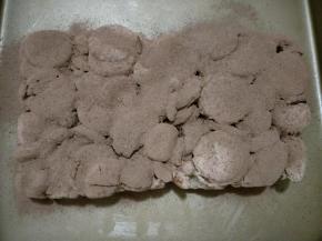 表面筛上混合好的奶粉和可可粉，切成喜欢的大小即可。