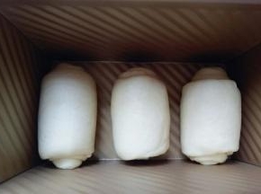 做好的面团卷，接口朝下整齐放在吐司磨具里，我的磨具是450g的吐司磨具。