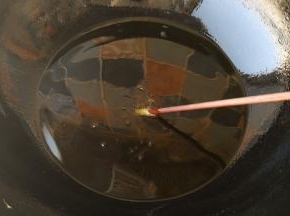 锅里入油，烧至七成热