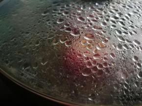 添加少许清水 盖上锅盖焖制