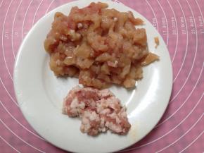 鸡脯肉、五花肉分别切小粒