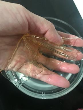 吉利丁片用冰水浸泡到软化