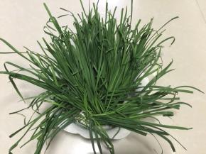 韭菜洗净后放在阳台通风处晾干水分