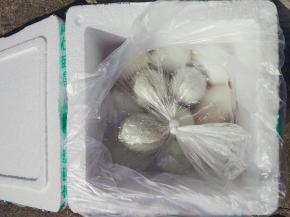 再把剩下盐加入一点点白酒混合好，倒入袋子里，鸭蛋再滚一遍，抓紧袋子，在太阳下晒上半天。 腌制28-30天开食，冬天38-42天最好。