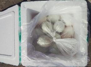 再把剩下盐加入一点点白酒混合好，倒入袋子里，鸭蛋再滚一遍，抓紧袋子，在太阳下晒上半天。 腌制28-30天开食，冬天38-42天最好。