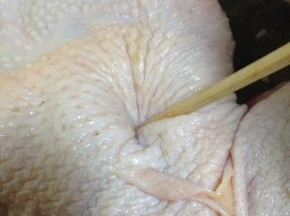 用竹签子或是叉子在鸡皮处扎一些眼，这样可以防止皮缩