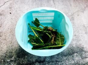 香椿焯水后沥干水分。