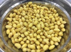 黄豆提前泡发好。