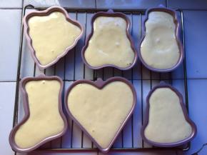 倒入模具中，放入预热好的烤箱140度25分钟