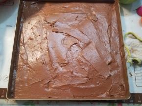 烤箱150度提前预热，把翻拌好的面糊放入28*28的烤盘，摊平。