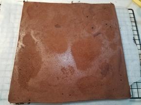 大约烤制20分钟左右，取出蛋糕片放凉。